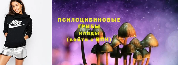 стаф Алексеевка