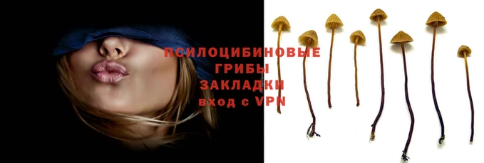 соль курить ск Алексин