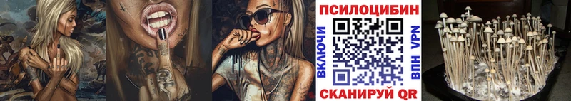 Псилоцибиновые грибы GOLDEN TEACHER  как найти наркотики  Звенигород 